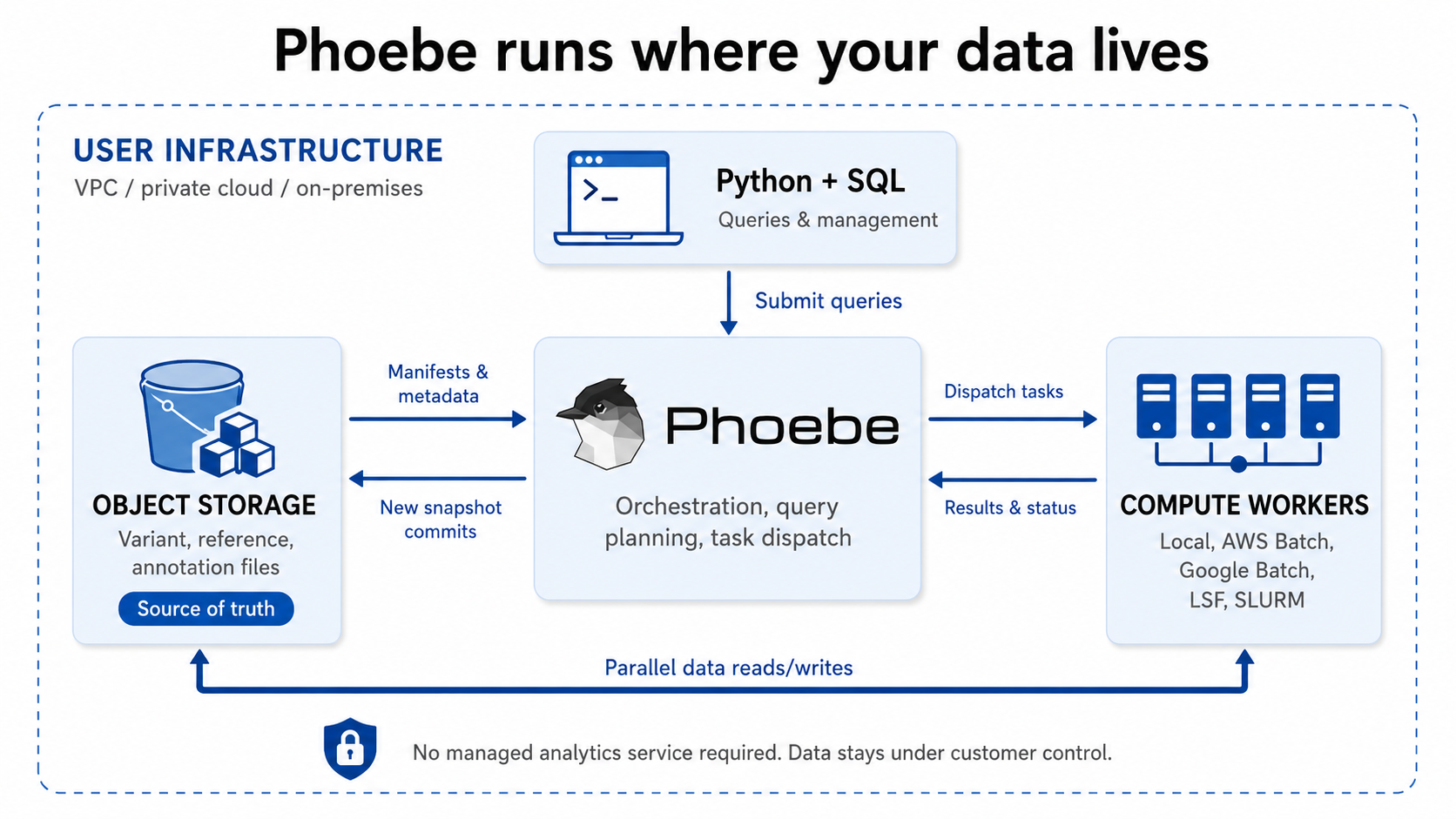 Phoebe architecture diagram: VCF and annotations flow into the Phoebe VPC, which serves query targets.
